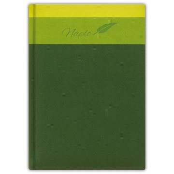 Tárgyalási napló Trinity A5 napló, fehér lapokkal zöld Dayliner 2026.