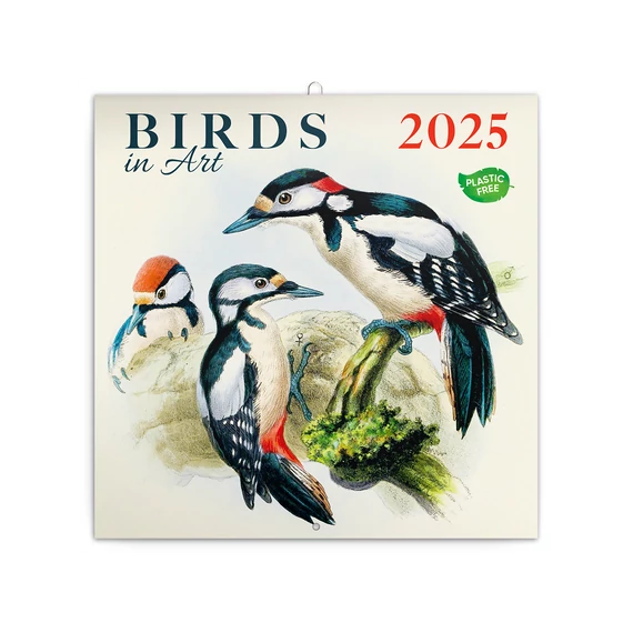 Falinaptár képes lemeznaptár 300x300mm, Birds in Art Realsystem 2026.