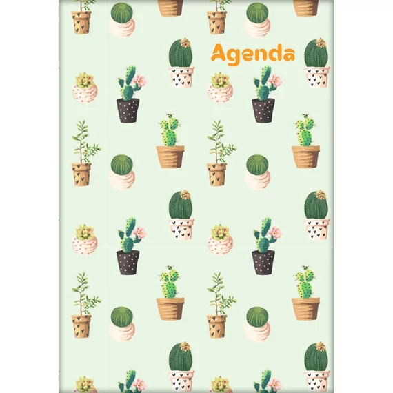 Határidőnapló Colors A5 napi, fehér lapokkal Cactus Dayliner 2026.